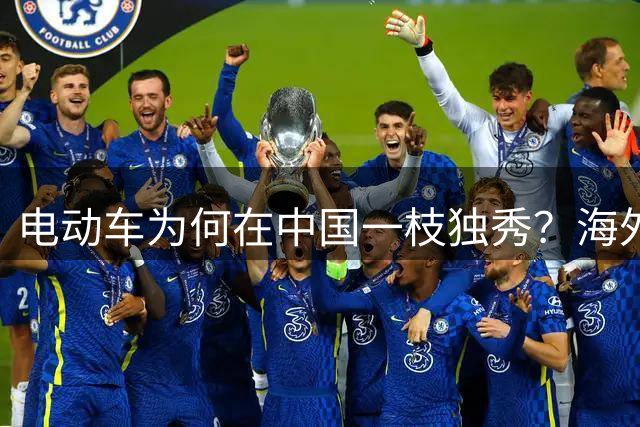 电动车为何在中国一枝独秀？海外市场真的遇冷吗？