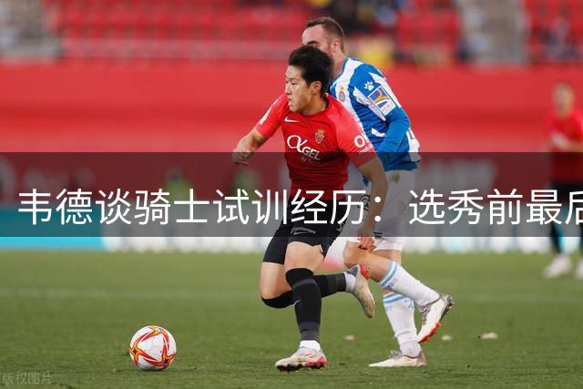 韦德谈骑士试训经历：选秀前最后一刻赶赴克利夫兰