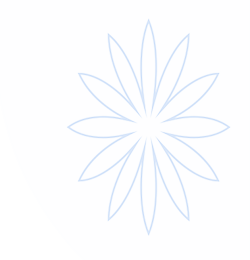 jxf吉祥坊·(中国区)官方网站jxf平台